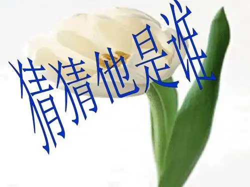 肖像描写
