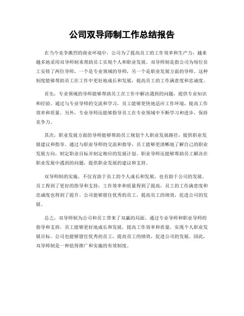 公司双导师制工作总结报告