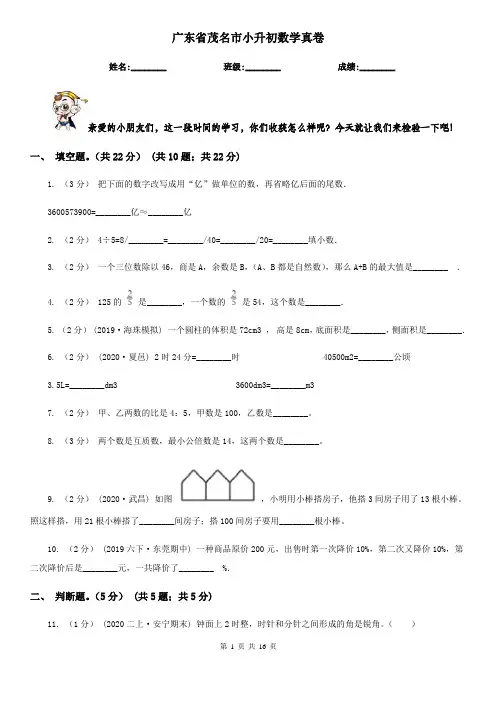 广东省茂名市小升初数学真卷