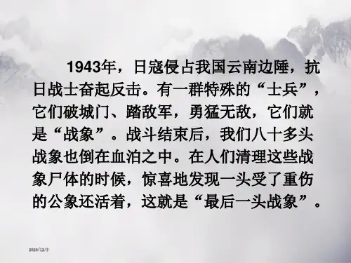 《最后一头战象》课件PPT (1)