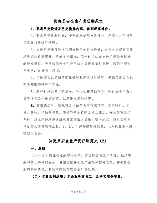 防突员安全生产责任制范文（3篇）