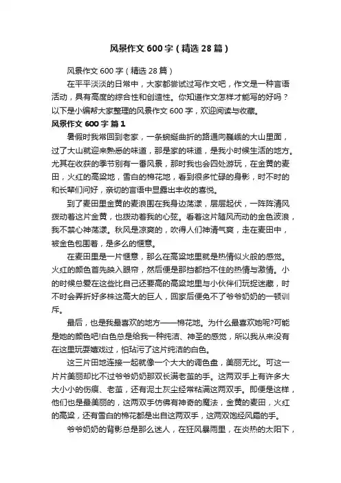 风景作文600字（精选28篇）