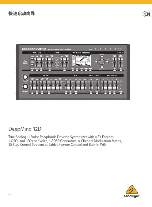 DeepMind 12D 快速启动向导说明书