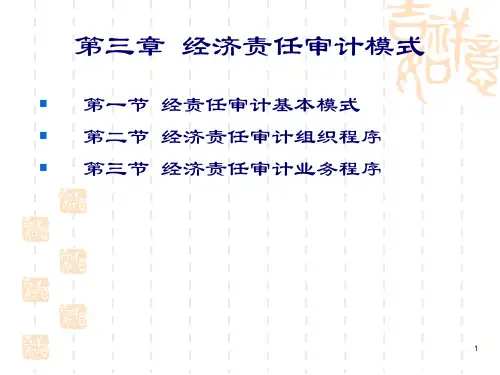 任期经济责任审计391页PPT