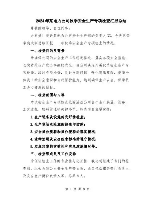 2024年某电力公司秋季安全生产专项检查汇报总结