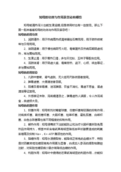 知母的功效与作用及禁忌有哪些