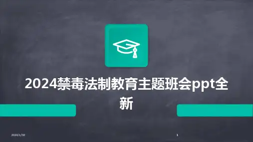 2024版禁毒法制教育主题班会ppt全新