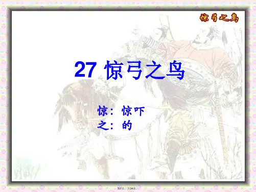 27惊弓之鸟ppt课件