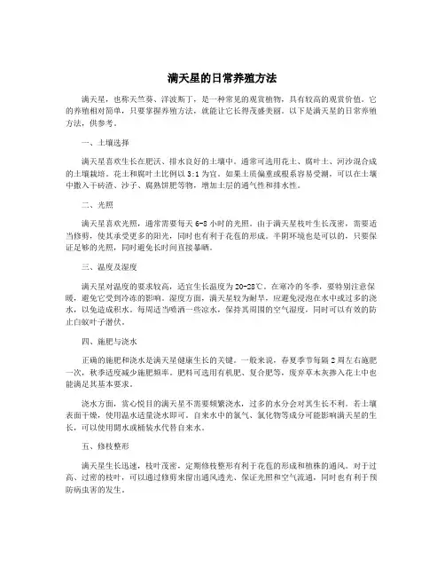 满天星的日常养殖方法
