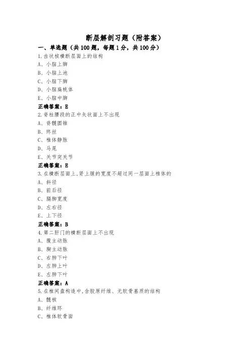 断层解剖习题(附答案)