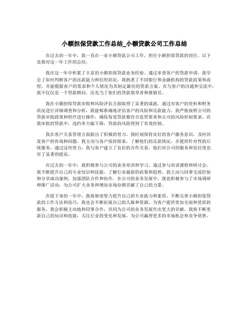 小额担保贷款工作总结_小额贷款公司工作总结