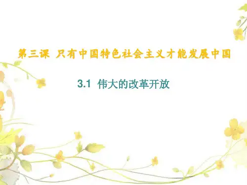 伟大的改革开放 高中思想政治必修课件人教版