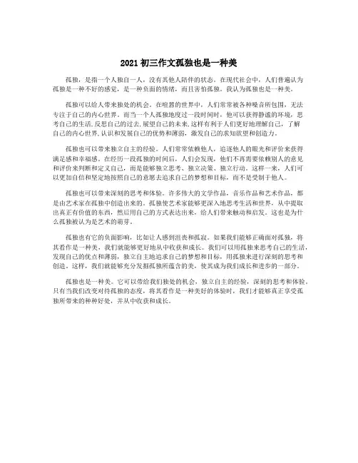 2021初三作文孤独也是一种美