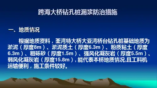 跨海大桥钻孔桩漏浆防治措施