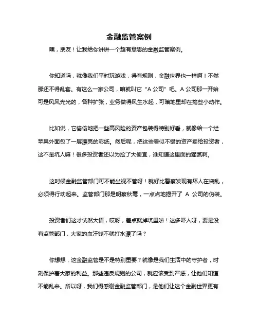 金融监管案例