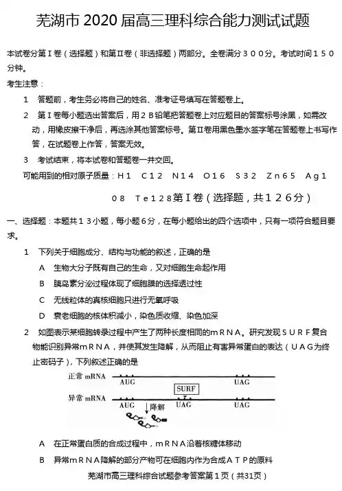 芜湖市2020届高三理科综合能力测试试题及答案