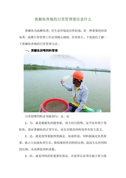 黄颡鱼养殖的日常管理要注意什么