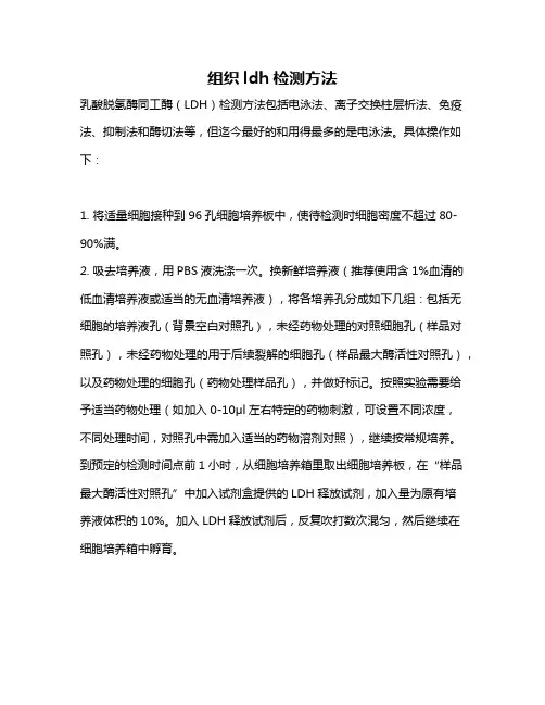 组织ldh检测方法