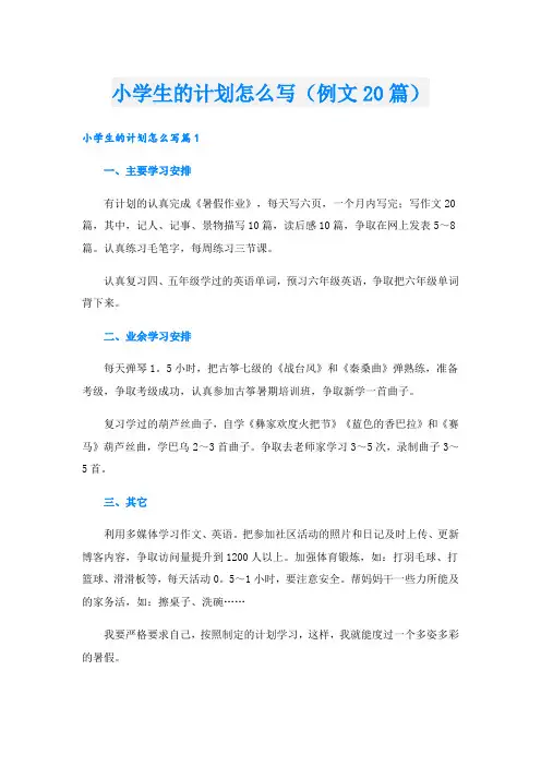 小学生的计划怎么写(例文20篇)