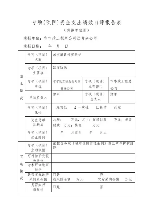 专项项目资金支出绩效自评报告表