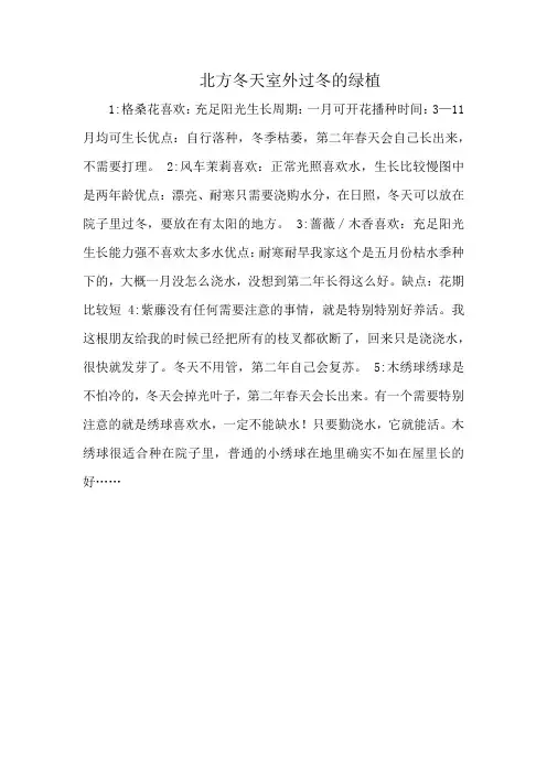 北方冬天室外过冬的绿植