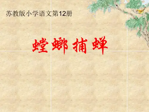 螳螂捕蝉上第一课.ppt