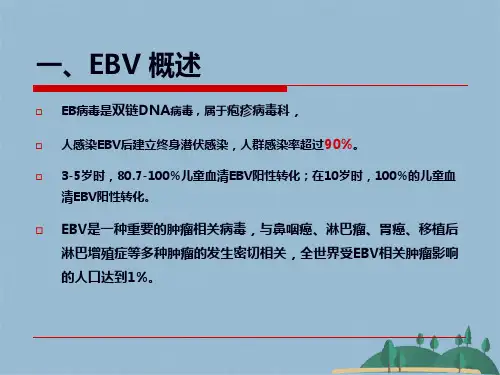 EB病毒感染(共25张PPT)