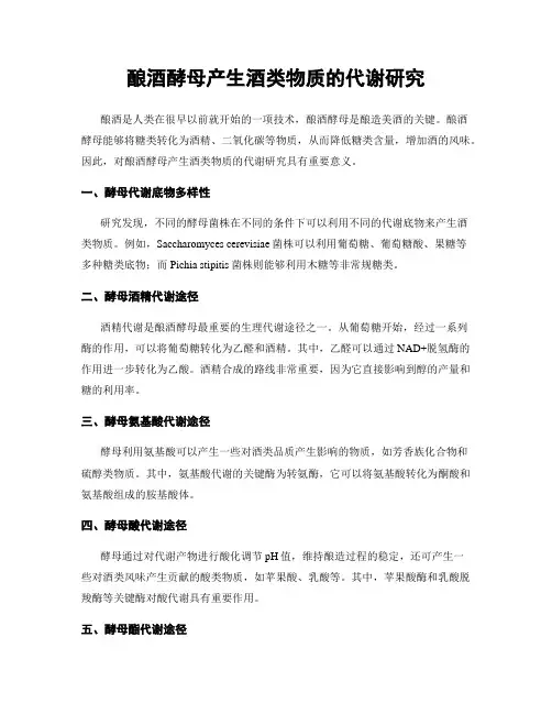 酿酒酵母产生酒类物质的代谢研究