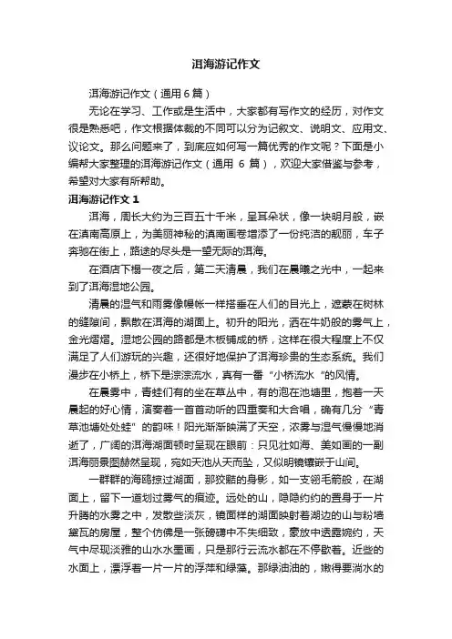洱海游记作文（通用6篇）