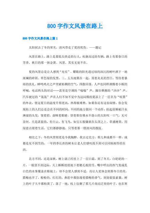 800字作文风景在路上