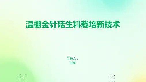 温棚金针菇生料栽培新技术