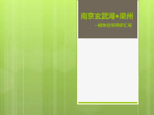 南京玄武湖梁州植物造景调研报告