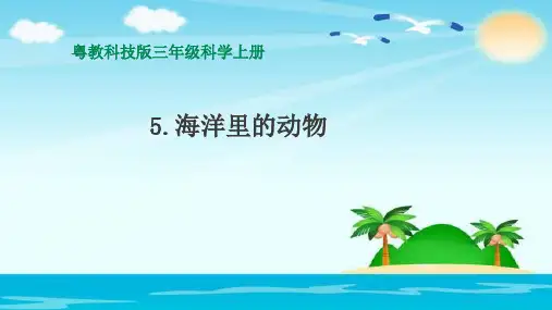 粤教版科学小学三年级上册第5课《海洋里的动物》优质课件PPT