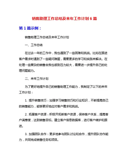 销售助理工作总结及来年工作计划6篇