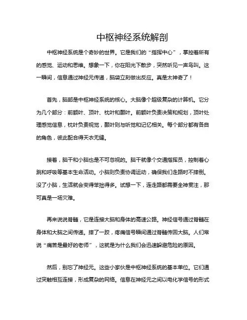 中枢神经系统解剖