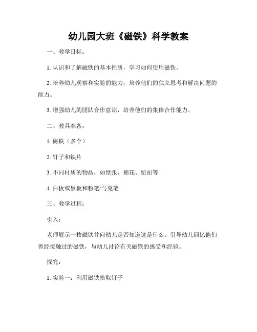 幼儿园大班《磁铁》科学教案