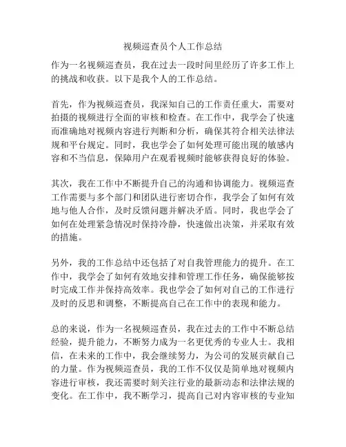 视频巡查员个人工作总结