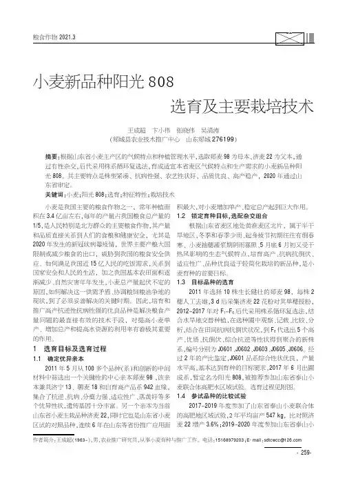 小麦新品种阳光808选育及主要栽培技术