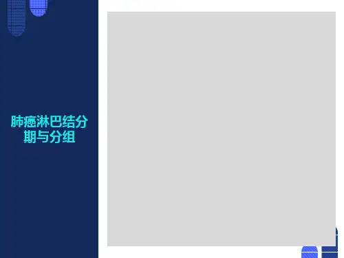肺癌淋巴结分期与分组-最新版