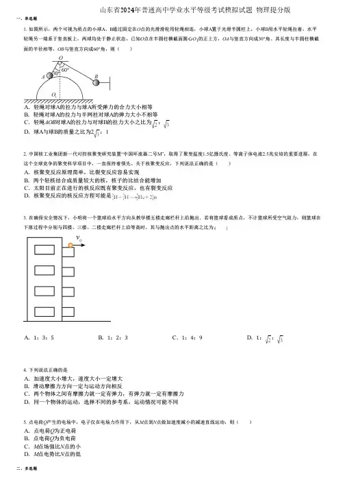 山东省2024年普通高中学业水平等级考试模拟试题 物理提分版