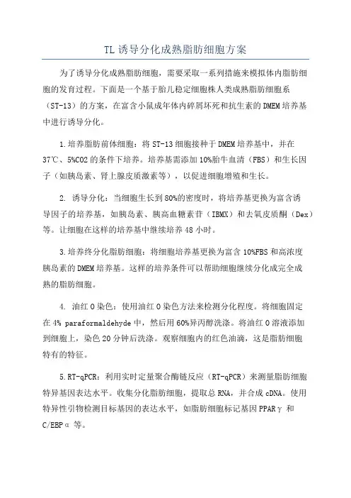 TL诱导分化成熟脂肪细胞方案