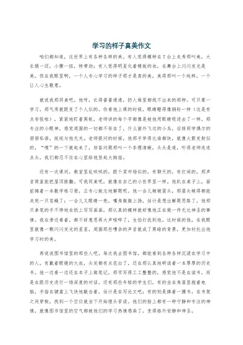 学习的样子真美作文
