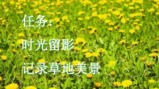 统编版小学语文三年级上册第16课《金色的草地》(第二课时)课件