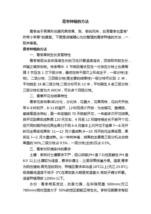 青枣种植的方法