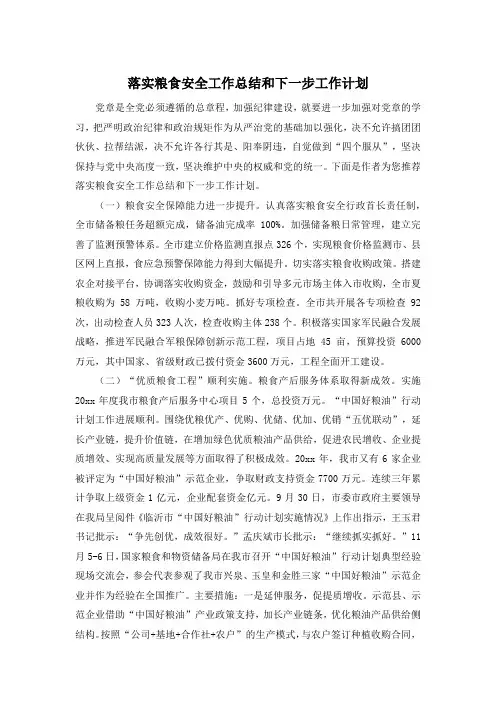 落实粮食安全工作总结和下一步工作计划