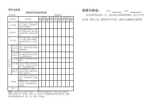 评价与反思表