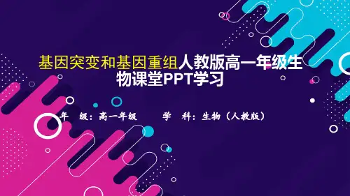 基因突变和基因重组人教版高一年级生物课堂PPT学习