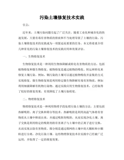 污染土壤修复技术实践