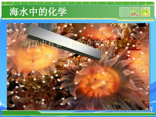 海水中的化学单元复习课件