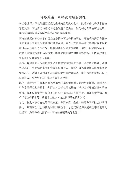 环境政策：可持续发展的路径